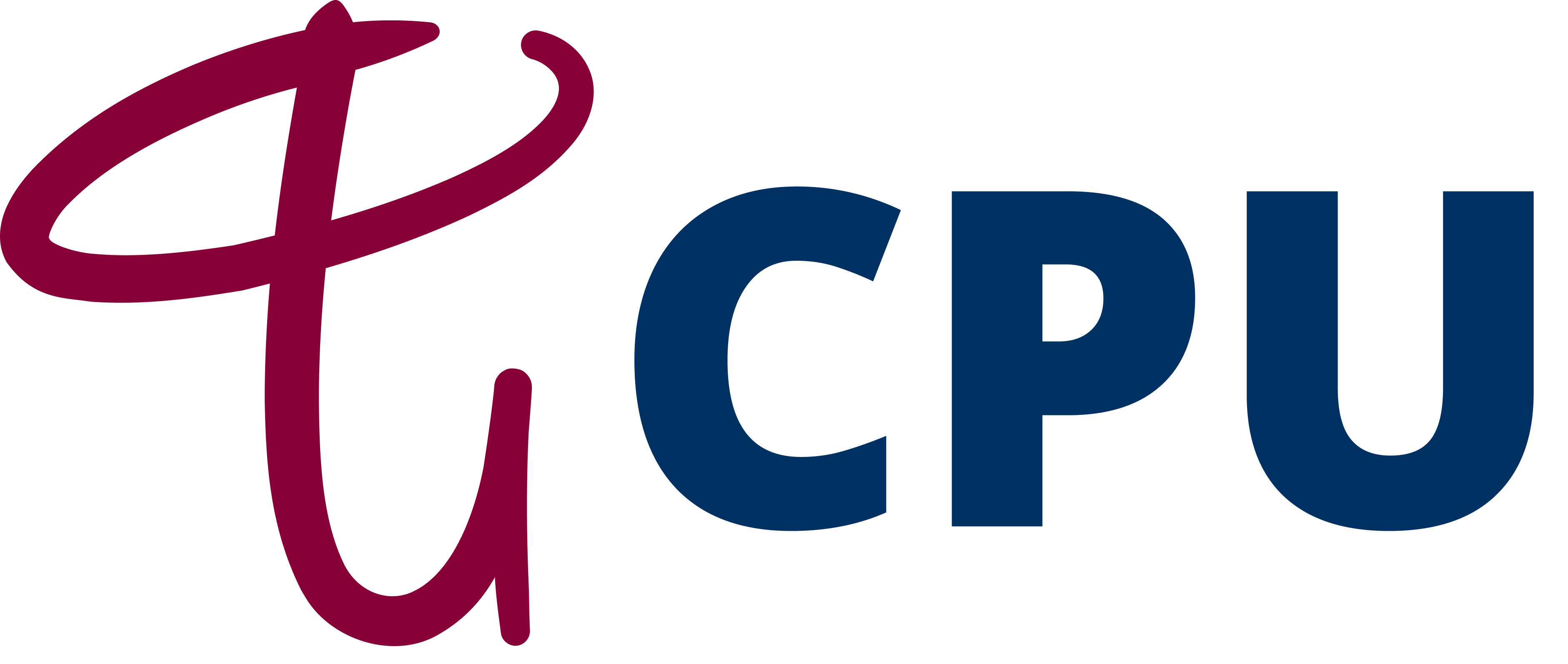 CPU Consulting & Software